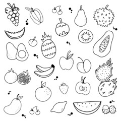 Hand drawn set of fruit with outline style vector illustration