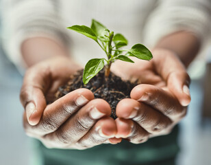 Heres to new beginnings. Cropped shot of an unrecognizable woman holding a plant growing out of soil.