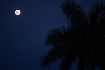 Luna Moon Good FRIDAY