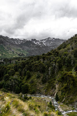 Mountainous valley with rushing river near large araucaria forest on a cloudy day, Chile