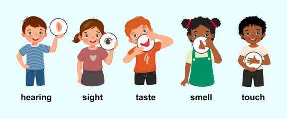 cute little children boys and girls holding showing five senses posters with icons representing hearing, sight, taste, smell, touch as human body parts