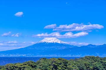 富士山　駿河湾　富士市　沼津市　
