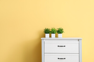 Beautiful houseplants on chest of drawers near yellow wall