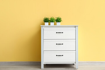 Modern chest of drawers with houseplants near yellow wall