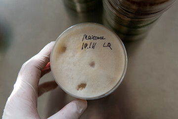 mycelium of exotic mushrooms in petri dishes. Selection and cultivation of mycelium. Mushroom cultivation around the world