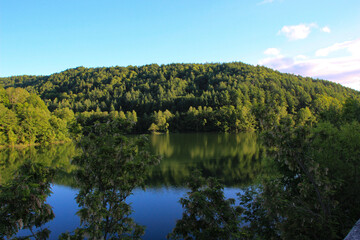 Fototapeta premium 新緑の森を映す湖面 
