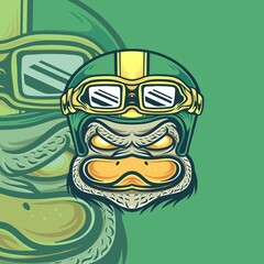 Duck racing helmet motorcyle vector illustration