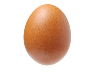 egg on a white background