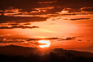 por do sol com arvores de plano de fundo