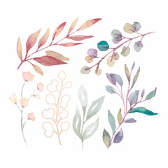 Wild floral watercolor element collection