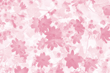Floral background. Leaves and flowers close up, tinted in pink.