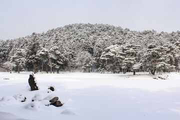 大雪の毛越寺大泉が池と池中立石
