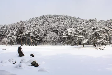 Fotobehang 大雪の毛越寺大泉が池と池中立石 © 温子 河口