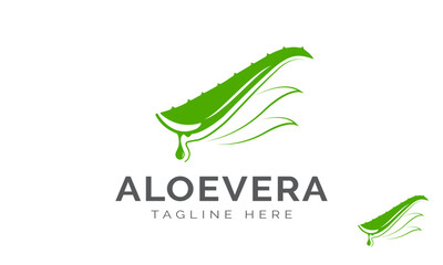 Aloe Vera Logo Design Template With Water Drop. Aloe Vera Plant Logo Design. Herbaceous plant and drop vector design. Aloe Vera gel logotype.
