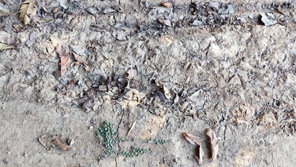 The ground , thailand ,