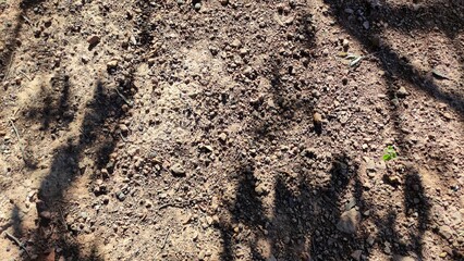 The ground , thailand ,