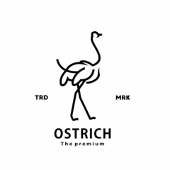 vintage retro hipster ostrich logo vector outline monoline art icon - obrazy, fototapety, plakaty