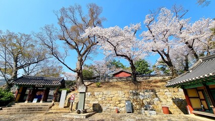 A wonderful view of old houses & Sky in Korea