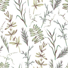 Greenery texture. Watercolor hand drawn seamless pattern with illustration of green leaves, spring herbs, wild flowers in vintage style. Floral elements isolated on white background. Beautiful meadow