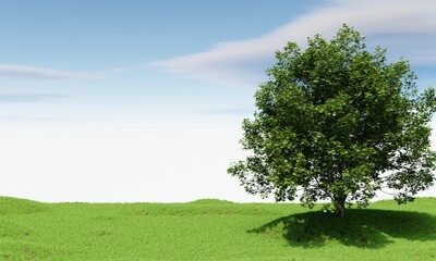Fototapeta na wymiar Big tree with blue sky background. Nature and landscape concept. 3D illustration rendering