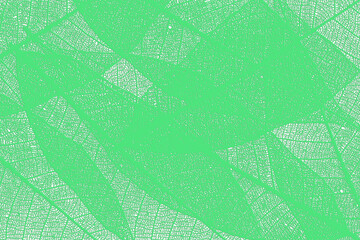 Fond de feuilles vertes