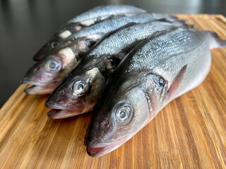 Wolfsbarsche ( loup de mer ) auf Brett 
