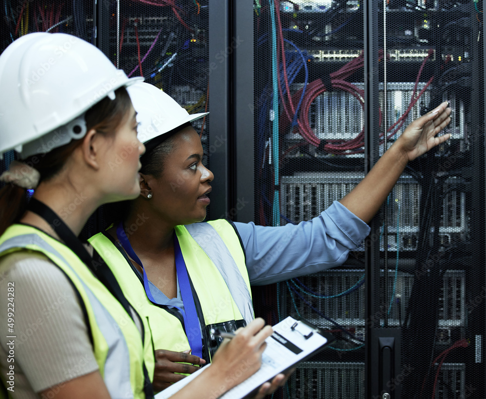 Poster What do you see. Cropped shot of two attractive female programmers working in a server room.