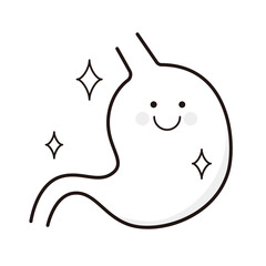 Vector illustration of a healthy stomach.