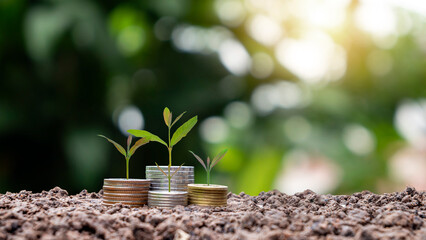 The tree is growing on a pile of coins with a natural backdrop, blurry green, money-saving ideas, and economic growth.