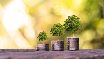 Money growth ideas and business success ideas. Trees grow on piles of money in the soil.