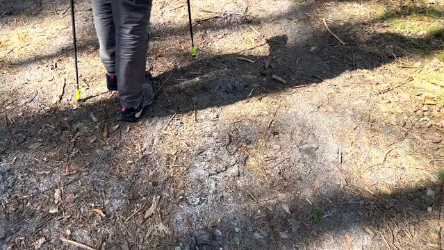 MĘŻCZYZNA UPRAWIAJĄCY NORDIC WALKING. SPACERUJĄCY MĘŻCZYZNA PO LESIE. SPACER PO LESIE W OKRESIE WIOSNY.