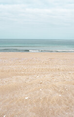 Vertical view of sandy coastline on beach on a cloudy day