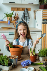 girl transplants flowers and houseplants. a child in a bandana plants bulbs, hyacinths, microgreens