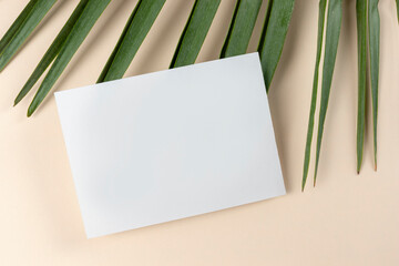 Empty invitation mock up on beige with palm tree leaf. Horizontal blank greeting card. Flat lay, top view.
