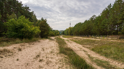 The no man's land on the border between Ahlbeck in Germany and Swinoujscie in Poland - obrazy, fototapety, plakaty