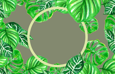 Watercolor template with green tropical leaves, monstera and circle, on a velvet gray background for your design