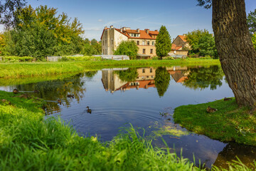 Scenic View of the Park in the Summer