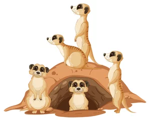 Group of meerkats with burrow on white background © blueringmedia