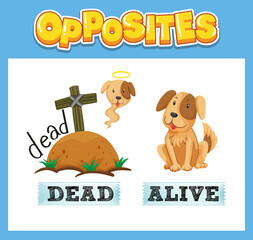 Opposite English words for kids