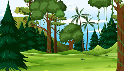 Empty forest environment background