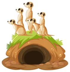 Group of meerkats with burrow in cartoon style © blueringmedia