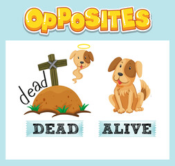 Opposite English words with dead and alive