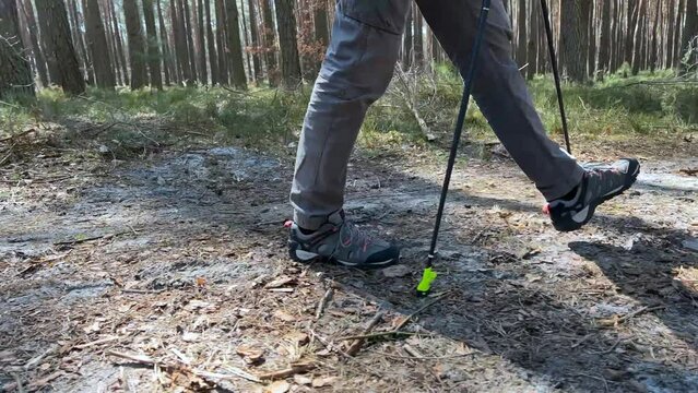 MĘŻCZYZNA UPRAWIAJĄCY NORDIC WALKING. SPACERUJĄCY MĘŻCZYZNA PO LESIE. SPACER PO LESIE W OKRESIE WIOSNY.