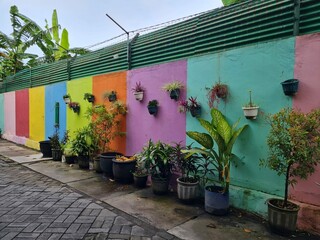 colorful walls in a city alley with decorative plants in pots attached to the wall