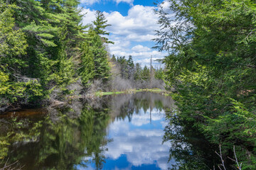 New England nature. Nameless River in New Hampshire in early autumn. The mirror surface of the water reflects a delightful forest landscape.