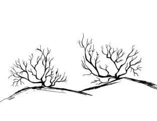 Black-colored bare bushes on a white background