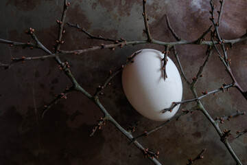 Natural white egg with thorny thorns on a rusty metal background. The concept of Easter in Ukraine...