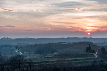 Spring sunset in the vineyards of Collio Friulano