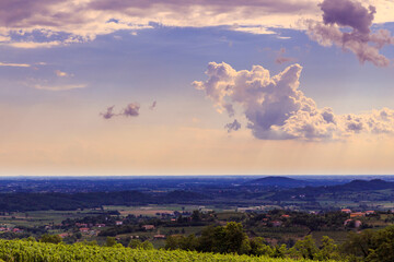 The beautiful vineyard of Collio, Friuli Venezia-Giulia, Italy