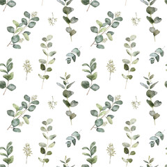 Watercolor seamless pattern with eucalyptus greenery. Hand painted eucalyptus branch and leaves isolated on white background. Floral illustration for design, print, fabric or background
